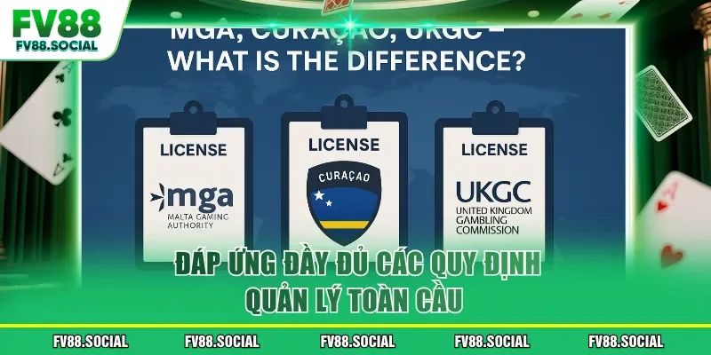 Đáp ứng đầy đủ các quy định quản lý toàn cầu 