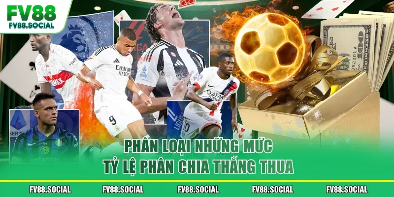 Phân loại những mức tỷ lệ phân chia thắng thua