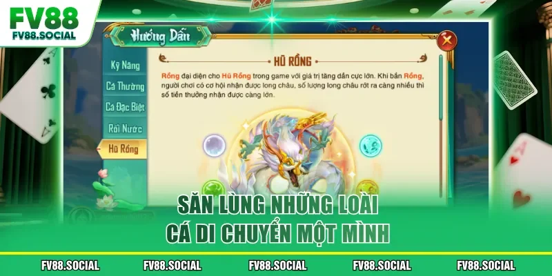 Săn lùng những loài cá di chuyển một mình